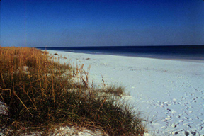 Pensacola Beach Florida