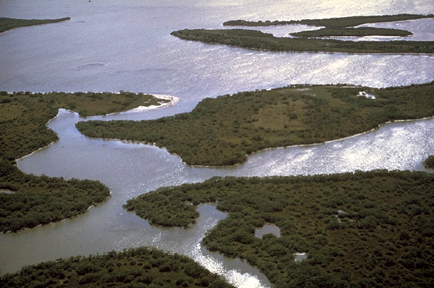 Canaveral National Seashore Photo