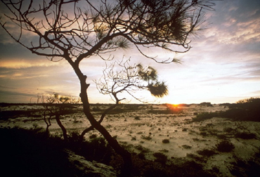 Gulf Islands National Seashore