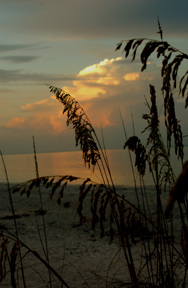 Sanibel Island Sunset