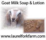 Goat Milk Soap