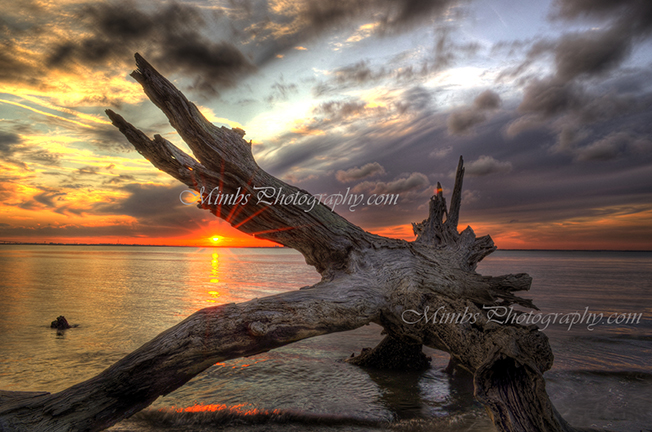 Driftwood Sunset. Clam Creek Beach. Driftwood Beach. Jekyll Island, Georgia